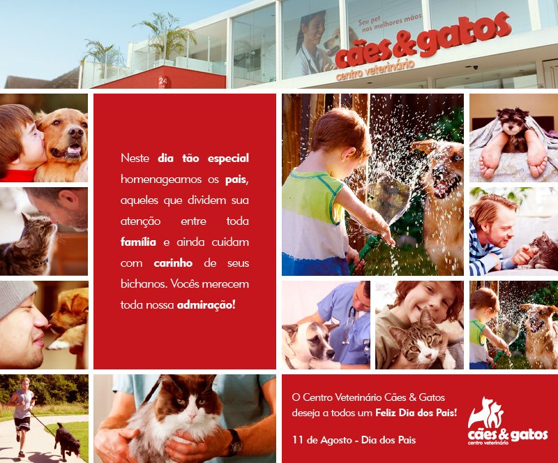 Cães & Gatos